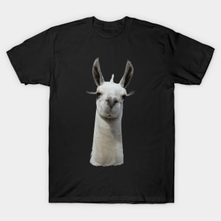 Grumpy Llama T-Shirt